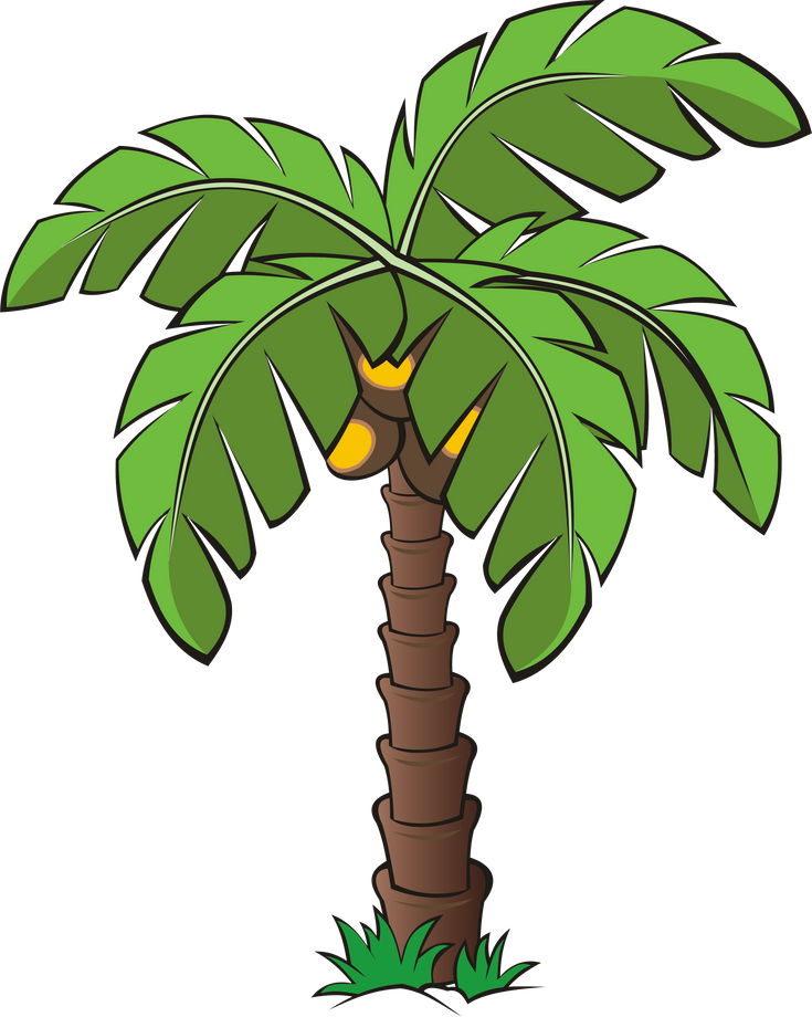 Palm Tree Illustration